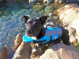 New life jacket for the deeps waters of wastwater!