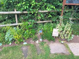 Herb garden, for people to take a few herbs to add to their food
