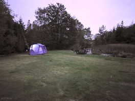 Evening closing in by the pond.