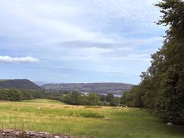 Views on site