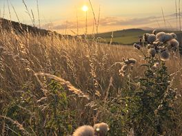 Taken just 50 m from the campsites walk along cliffs edge