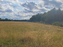Freedom farm