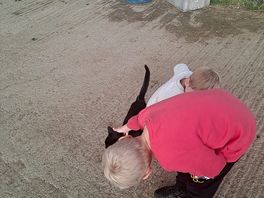 Owners cat