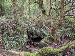 Nature walk