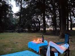 Perfect evening in nature