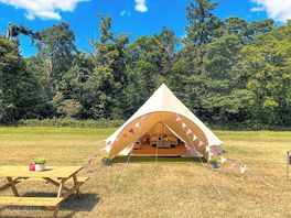 Sunny days at Hammonds Glamping