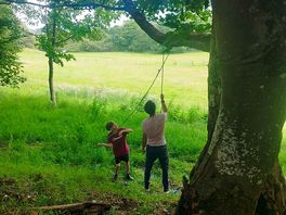 Wooded area