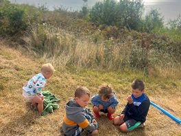 On a bug hunt