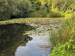 Lakes in walking distance