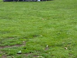 Pitch