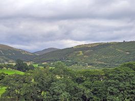 Views