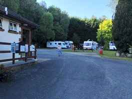 Cenarth falls campsite