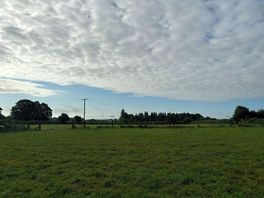 Lovely clouds