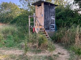 Clean bog