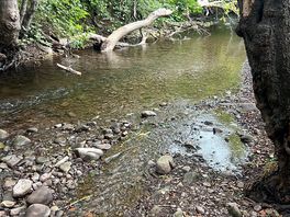 The river