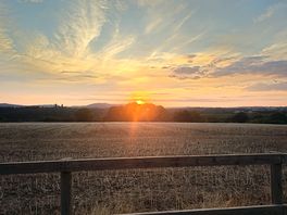 Last of the sunset