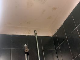 The showers