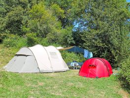 Tent pitch sheltered by trees