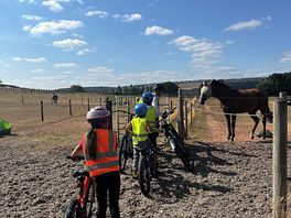 Horses near to the campsites