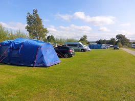 Standard camping pitches