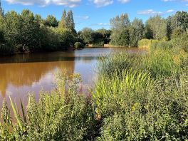 Tranquil fishing lake