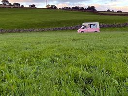 Ice cream to site