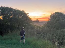 August stunning sunset from wild life area looking across the fields