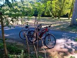 Plage camping