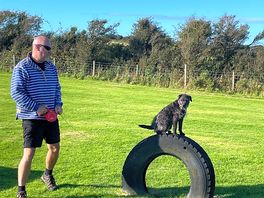 Agility 🤣