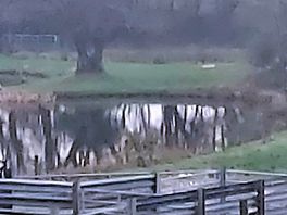 The lake