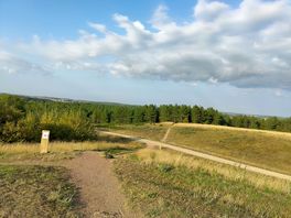 Silver hill view