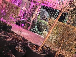 Covered beer garden
