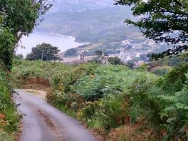 View down to charmouth from the lane