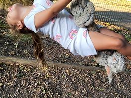 Adventure park