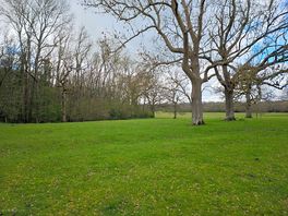 Sprawling green fields