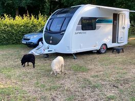 Evening visitors
