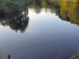 Fly fishing lake