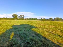 Camping meadow