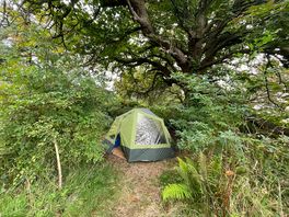 Under the chestnut tree