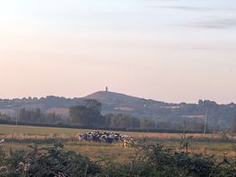 View of the tor from our tent