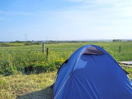 Open view to fields