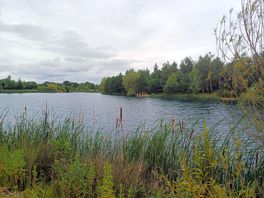 Q lake