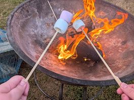 Toasting marshmallows on the fire