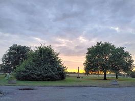 Dusk near the manger