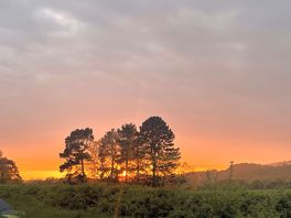 Beautiful sunset on my last night