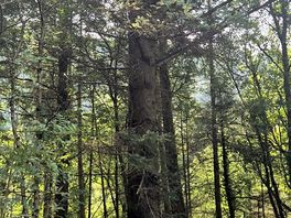 View on a nearby walking trail