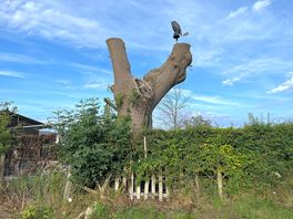 There are loads of walks accessible from the dite