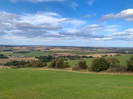 Gorgeous views
