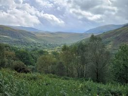 View over loch trool from bruce's stone.
