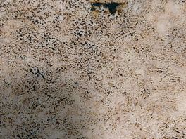 Bathroom floor
